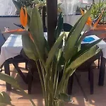 Casa Pedro *